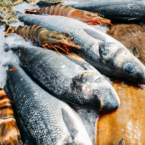 angulo-alto-bodegon-de-variedad-de-pescado-fresco-crudo-escalofriante-en-cama-de-hielo-frio-en-puesto-en-el-mercado-de-mariscos