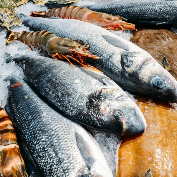 angulo-alto-bodegon-de-variedad-de-pescado-fresco-crudo-escalofriante-en-cama-de-hielo-frio-en-puesto-en-el-mercado-de-mariscos
