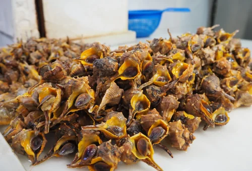 cañailla